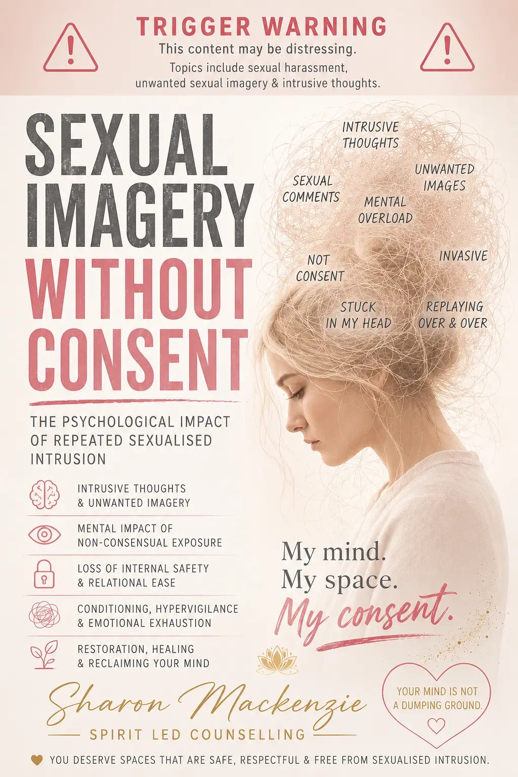 Cover of Sexual Imagery Without Consent™ — Boundaries, Consent & Safety